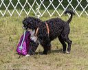 20190817-wwd-0126