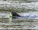 20190817-wwd-0143