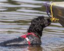 20190818-awd-0006