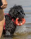 20190818-awd-0018