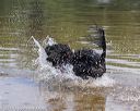 20190818-awd-0024