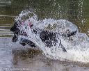 20190818-awd-0027