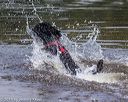 20190818-awd-0032