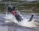 20190818-awd-0033