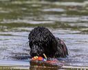 20190818-awd-0061