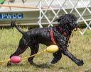 20190818-awd-0174