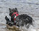 20190818-awd-0185