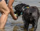 20190818-awd-0233