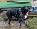20190818-awd-0265