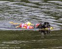 20190818-awd-0298