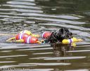 20190818-awd-0300