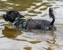 20190818-awd-0331