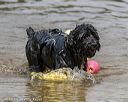 20190818-awd-0425