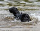 20190818-awd-0444