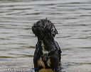 20190818-awd-0462
