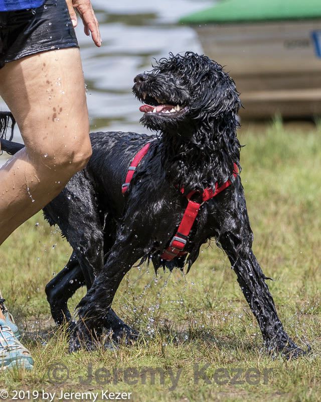 20190818-awd-0220.jpg