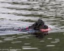20190818-cwd-0025