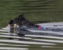 20190818-cwd-0032
