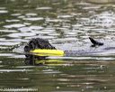 20190818-cwd-0108