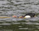 20190818-cwd-0114