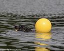 20190818-cwd-0133