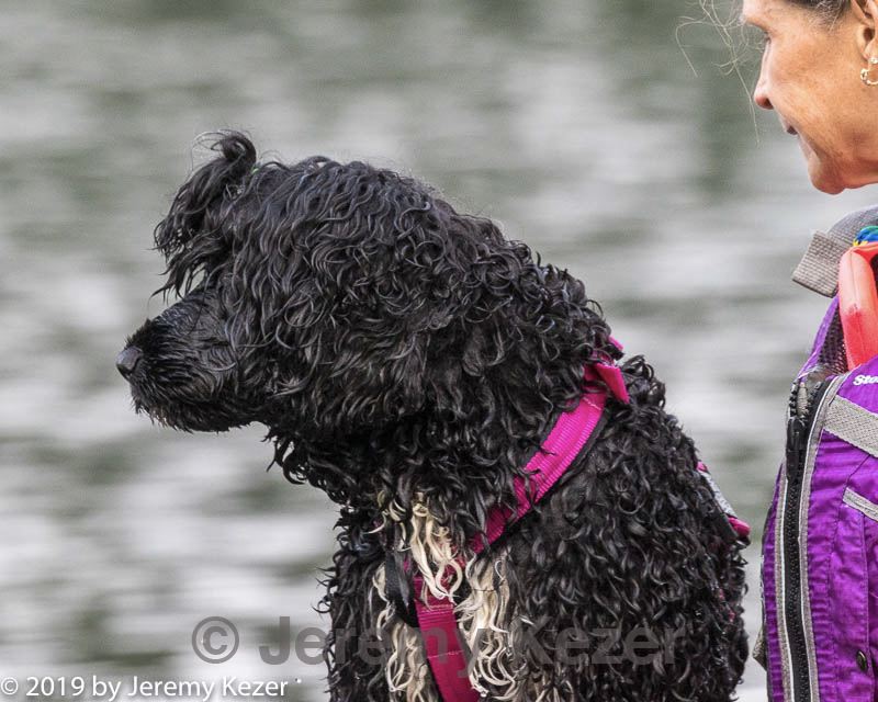 20190818-cwd-0010.jpg