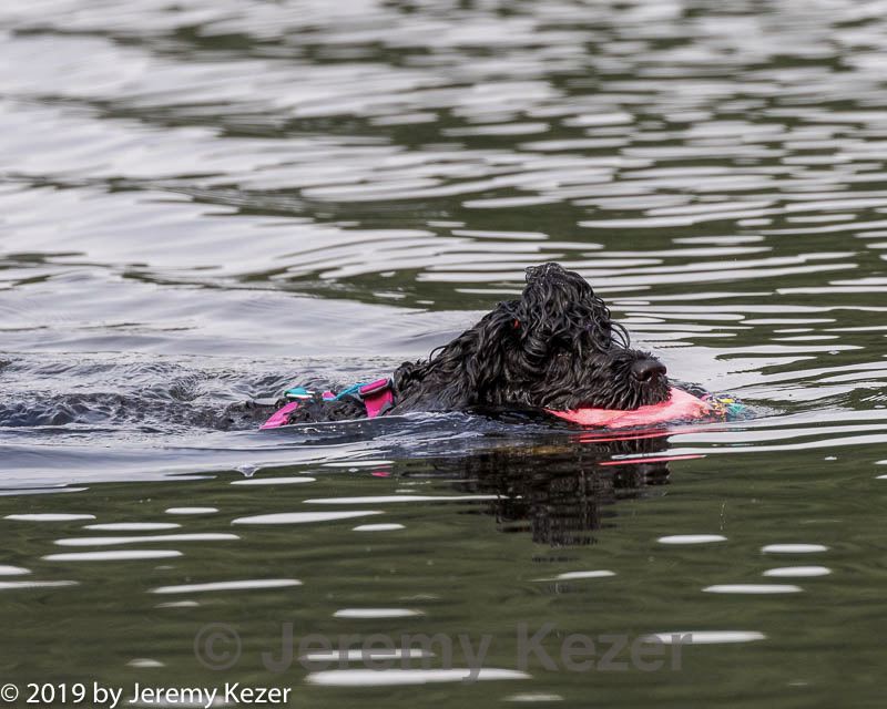 20190818-cwd-0025.jpg