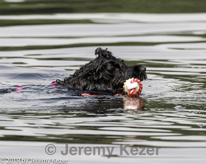 20190818-cwd-0033.jpg