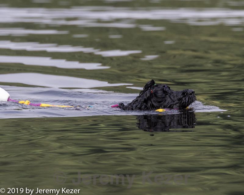 20190818-cwd-0041.jpg