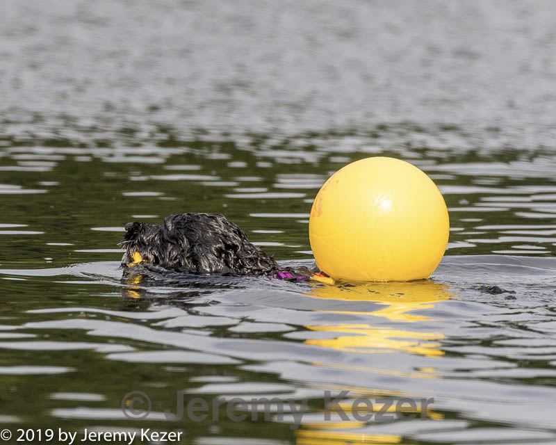 20190818-cwd-0135.jpg