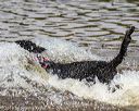 20190818-jwd-0034