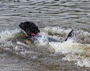 20190818-jwd-0073
