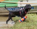 20190818-jwd-0121