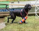20190818-jwd-0123