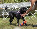 20190818-jwd-0128