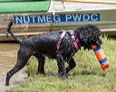 20190818-jwd-0136