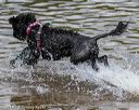 20190818-jwd-0154