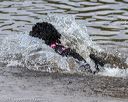 20190818-jwd-0158
