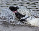 20190818-jwd-0160