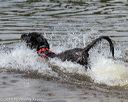 20190818-jwd-0232