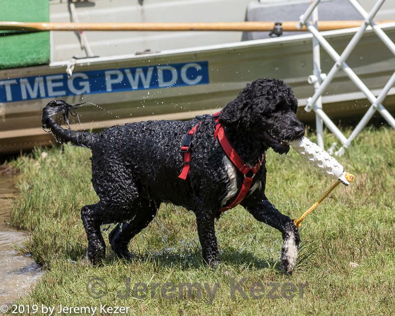 20190818-jwd-0028.jpg