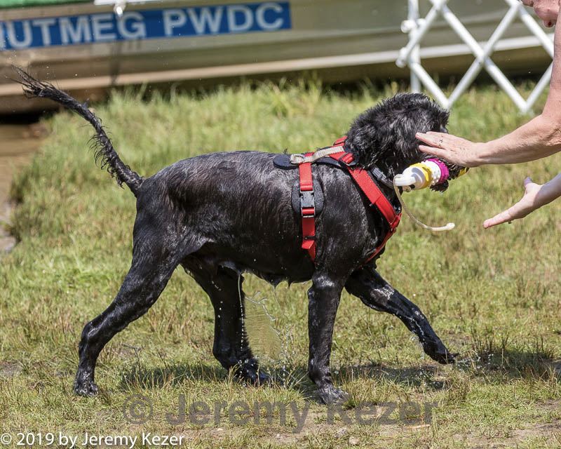 20190818-jwd-0187.jpg