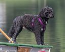 20190818-mwd-0005