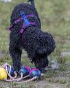 20190818-mwd-0032