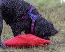 20190818-mwd-0068