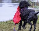 20190818-mwd-0073