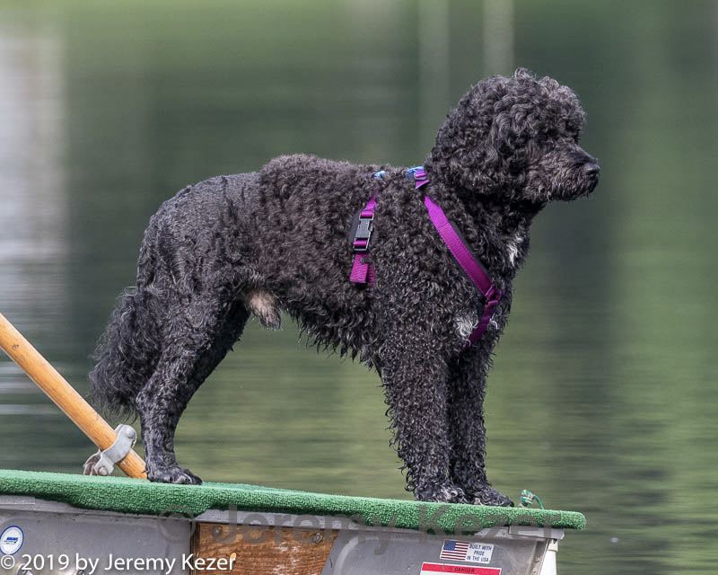 20190818-mwd-0005.jpg