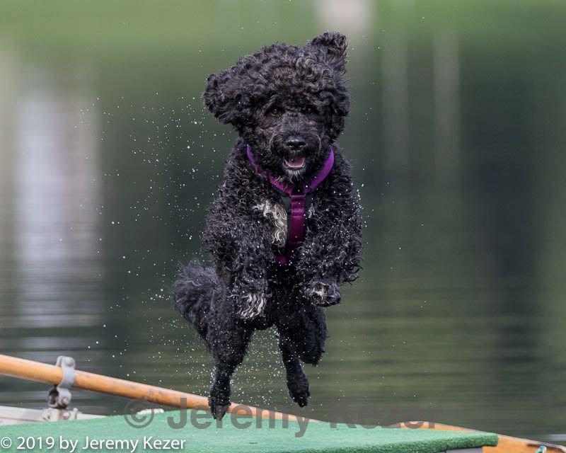 20190818-mwd-0006.jpg