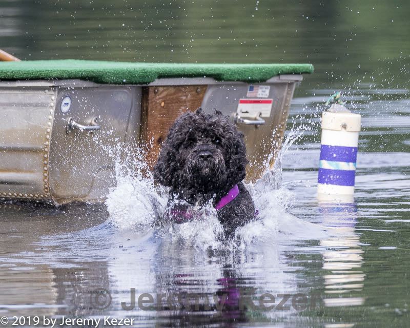 20190818-mwd-0010.jpg