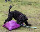 20190818-wwd-0005